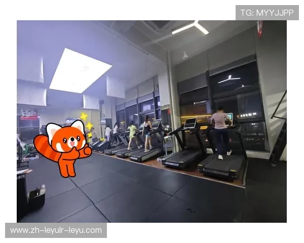 预算友好型方案：3000元打造全能家庭健身站