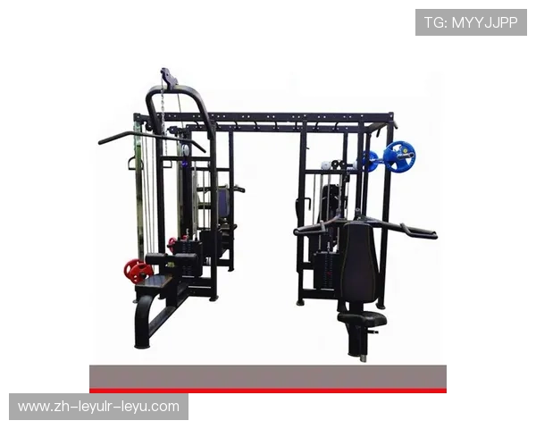 高端健身器材供应商厂家直供商用家用器械