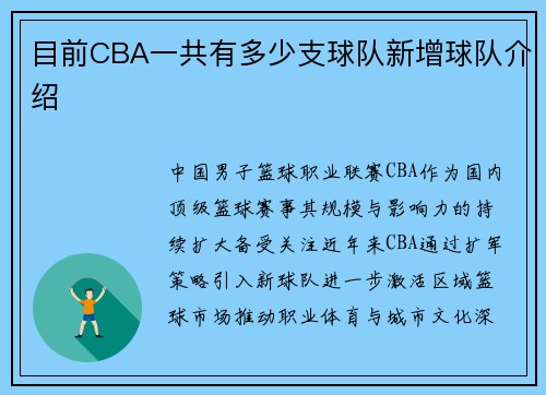 目前CBA一共有多少支球队新增球队介绍